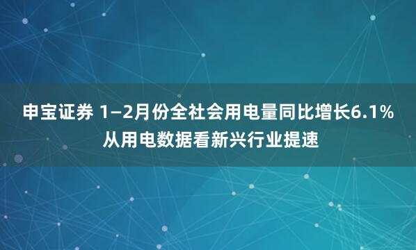 申宝证券 1—2月份全社会用电量同比增长6.1% 从用电数据看新兴行业提速