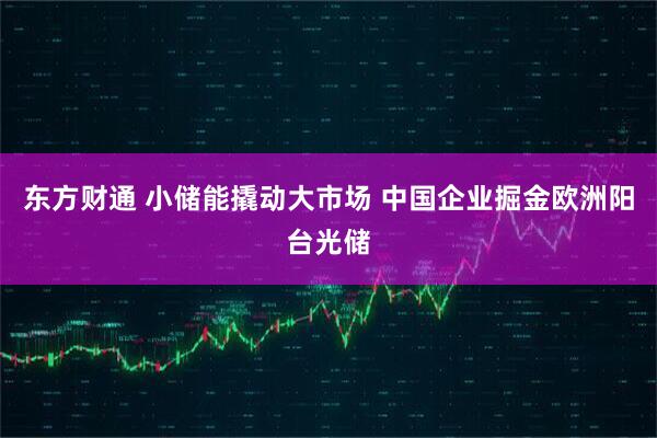 东方财通 小储能撬动大市场 中国企业掘金欧洲阳台光储