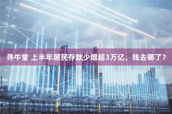 寻牛堂 上半年居民存款少增超3万亿，钱去哪了？